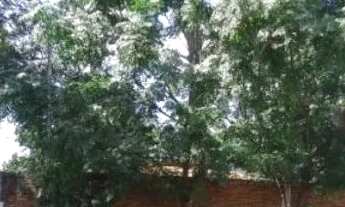 Imagem: Chácara 5.700m2 ideal para comércio em