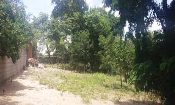 Imagem: TERRENO JAGUARIÚNA SP 568,10 M²