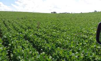 Imagem 3: Fazenda à venda em Ponta Grossa/PR
