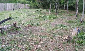 Imagem: Terreno no alter do chão