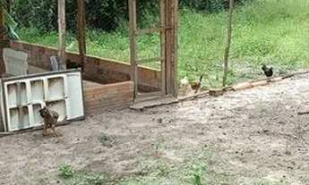 Imagem 4: T Chácara em Timbui