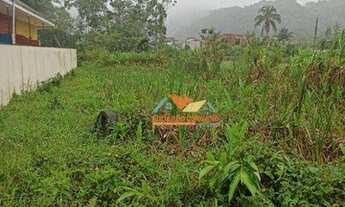 Imagem 4: Vende-se terreno de 300 m² com escritura definitiva na praia de Massaguaçu. Venha morar pe