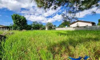 Imagem 3: Velleda oferece belíssimo terreno plano, em condomínio fechado, as margens da RS040, na Ág