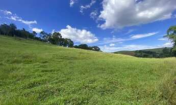 Imagem 4: LL-Vendo terrenos demarcados e com ótima topografia