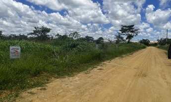 Imagem 3: Lote 12x30 bairro caminho da universidade