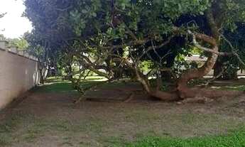 Imagem 4: Terreno Linear em Serra Grande - Itaipu