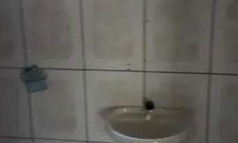 Imagem 5: DIRETO COM PROPRIETÁRIO