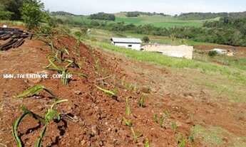 Imagem 2: Área Rural para Venda em Londrina, Paraíso