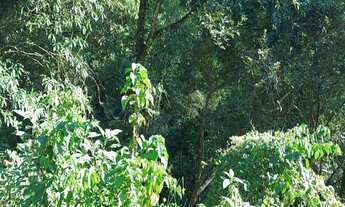 Imagem 3: Vende terreno para cabanas e chalés, terreno com escritura pública e a poucos kms de Flori