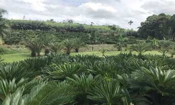 Imagem: Terreno à venda em Araquari/SC