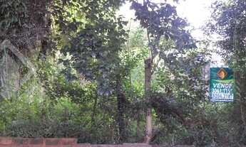 Imagem 4: PORTO ALEGRE - Terreno Padrão - Vila Ipiranga