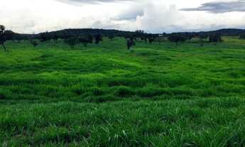 Imagem 7: Fazenda/Sítio 12,5 Alqueires a 98 km de (taquaruçu) Palmas-TO