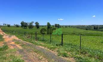 Imagem 5: Fazenda DUPLA APTIDÃO, MONTADA NA PECUÁRIA, 155 alqueires à venda por R$23.250.000,00 - Mu