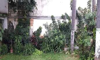 Imagem 2: São Paulo - Casa Padrão - JARDIM EUROPA