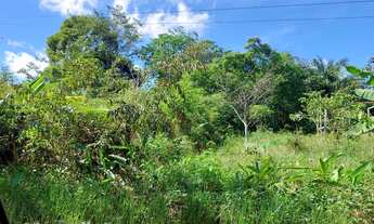 Imagem 3: Terreno Benevides