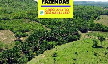 Imagem 6: Fazenda entre Palmas e Paraíso no Tocantins dupla aptidão