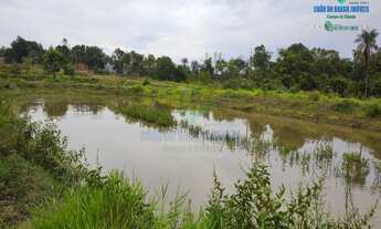 Imagem 6: PALMEIRAS - Chácara - Distrito de Palmeiras