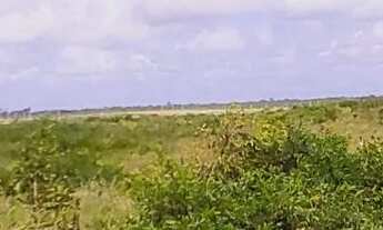 Imagem 4: Repasse de terrenos são 2 lotes medindo cada 10 por 20