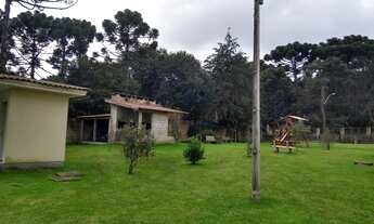 Imagem 4: Apartamento à venda, 57 m² por R$ 320.000,00 - Canelinha - Canela/RS