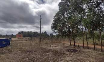 Imagem: Chácara em Dois Riachos