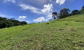 Imagem 7: LL-Vendo terreno barato na promoção!!!