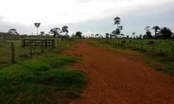 Imagem 5: FAZENDA DUPLA APTIDÃO VILA BELA