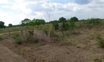 Imagem 4: Fazenda a venda dupla aptidão Cuiabá MT