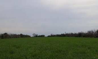 Imagem 4: FAZENDA NEGOCIO DE OPORTUNIDADE!!!