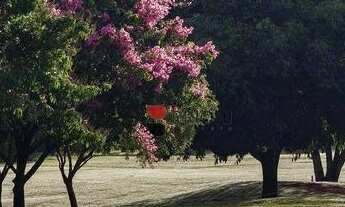 Imagem 4: Terreno a venda em condomínio Reserva do Ipê, em Ribeirão Preto/SP I Imobiliaria em Ribeir