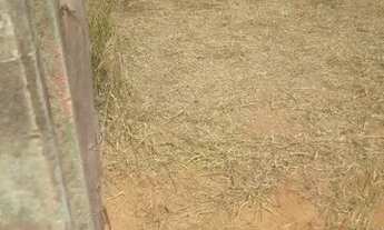 Imagem 3: Lote 26 de setembro troco