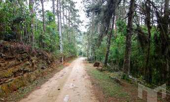 Imagem 3: Belíssimo terreno com 20.328m2