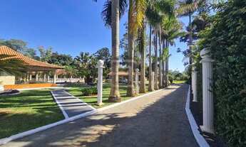 Imagem 2: Oportunidade! Chácara na Bratislava com 5000 m²