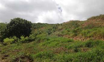 Imagem 9: Área à venda, 32080 m² por R$ 6.000.000,00 - Nova Dutra - Santa Isabel/SP