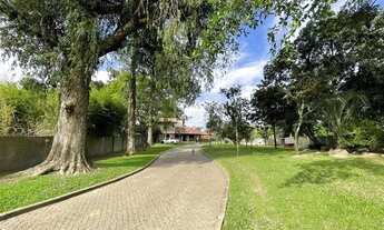 Imagem 2: Sítio em Martinica