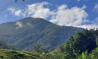 Imagem 2: Vendo fazenda em Cachoeiras de Macacu com 6 alqueires de terra