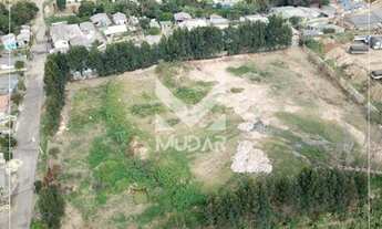 Imagem 6: Excelente Terreno Boa Vista