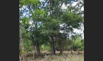 Imagem 5: Terreno 5 mil metros quadrados