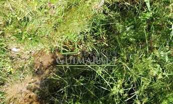 Imagem 5: ÁGUAS MORNAS - Terreno Padrão - BR 282