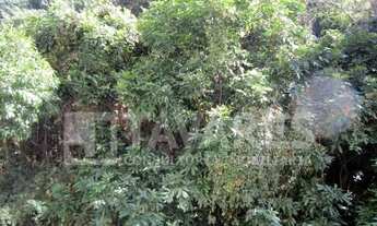 Imagem 7: Apartamento em Lagoa