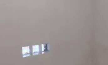 Imagem 3: Alugo Casa com 2 dormitórios