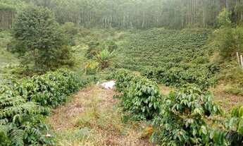 Imagem 2: Sitio munis freire 5 alqueirers