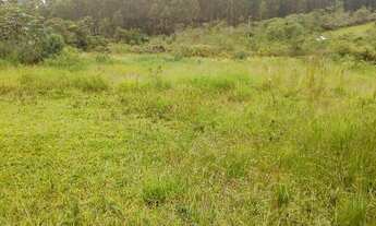 Imagem 6: Sitio munis freire 5 alqueirers