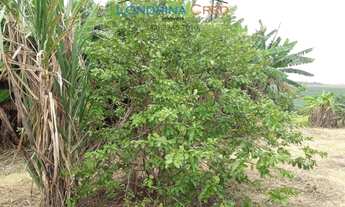 Imagem 6: Área Rural para Venda em Londrina, CONDOMÍNIO DE CHÁCARAS BOM JESUS