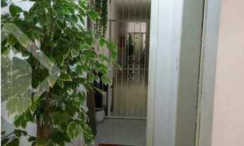 Imagem 5: PORTO ALEGRE - Padrão - Floresta