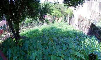 Imagem 7: TERRENODOIS IRMÃOS