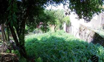 Imagem 5: TERRENODOIS IRMÃOS