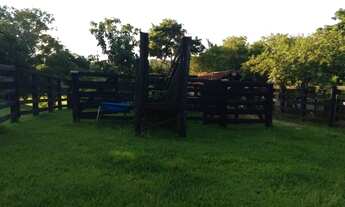 Imagem 6: Sitio 5 alqueires localizado em Piracicaba a 10 minutos do centro