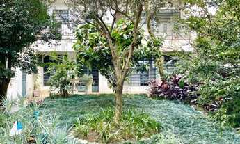 Imagem 4: Localização nobre em Moema, ideal para comércio, clínica ou Galeria de Arte