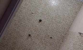 Imagem 7: Casa com 1 dormitório para alugar, 40 m² por R$ 850,00/mês - Jardim Vila Formosa - São Pau