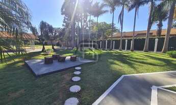 Imagem 5: Oportunidade! Chácara na Bratislava com 5000 m²